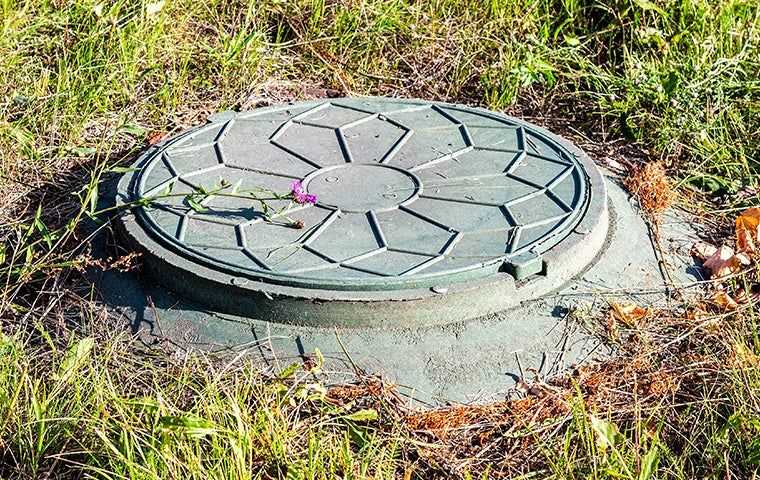 septic tank lid in yard