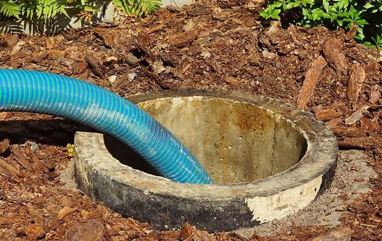 septic tank being pumped