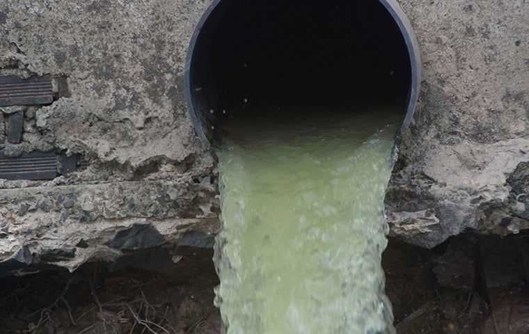 wastewater treatment